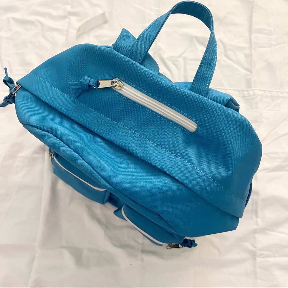 Chobani Backpack View 3